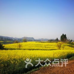 潼南油菜花景区门票 地址 地图 攻略 潼南区 