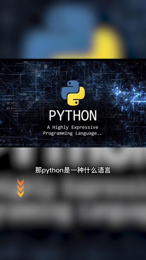 python属于什么语言(python入门教程(非常详细))