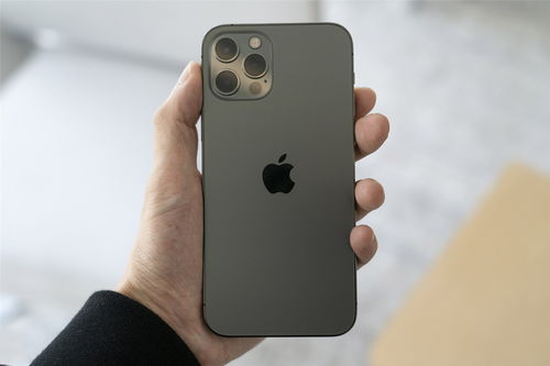 iPhone12哪个颜色好看 iPhone12五色真机图赏对比