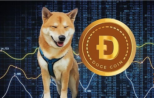 DOGEǷֿ֧