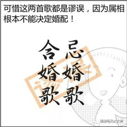 漫画命理 生肖属相婚配,准确率到底有多高 