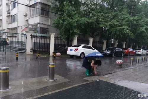 下大暴雨能上班吗