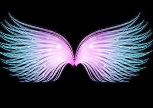 12星座专属 天使之翼 ,白羊座纯净天使羽翼,天秤座芳菲之翼