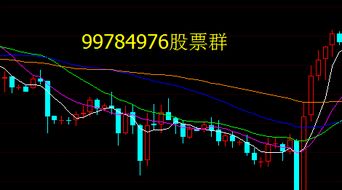 哪里有散户股票技术交流群啊 