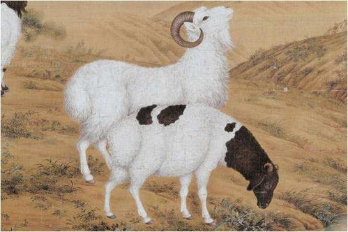 十羊九福全,67年属羊的毕生命寿,都是命运的安排