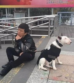 天津相声广播 养狼当犬看家难