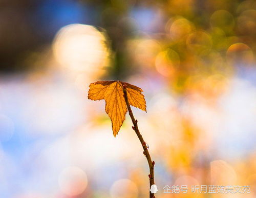 太迟了的歇后语