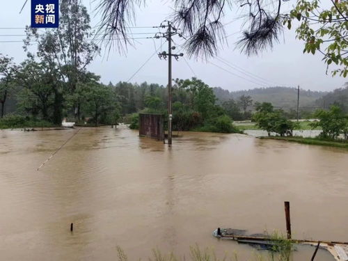 江西10地遭遇特大暴雨,一河堤溃口 最新救援进展