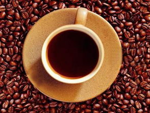 别乱喝咖啡,只有一种咖啡适合你的星座 