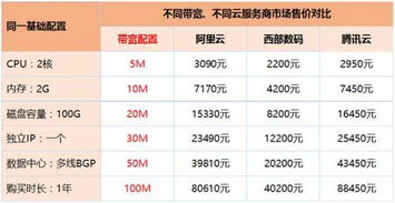 国内哪里有300M的大带宽服务器啊?便宜实惠的