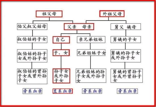 家人有案底,会影响我考公务员吗 