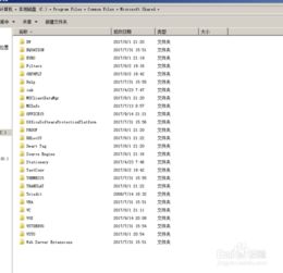 office 2013 32破解版