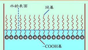 为什么表面活性物质能减少表面张力?