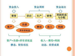 下列各项中，属于以货币表现的经济活动的是？A资产运动。B货币运动。C营销运动D资金运动。