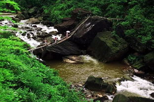 四面山旅游规划