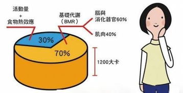 为何她吃得比我还多,就是不胖