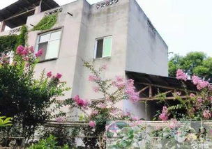 四川省双流区农村独栋自建房出租,花团锦簇树木环绕还有前后院