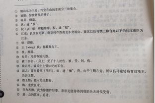 不知所惜解释词语—不知所措是什么短语类？