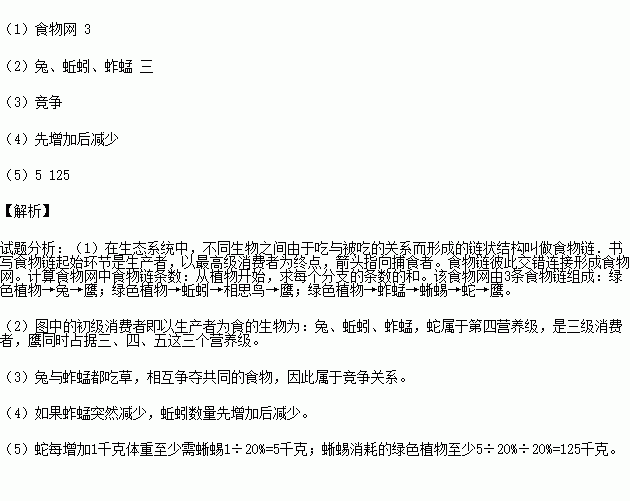 下图是食物关系图.分析并简要回答 1 该图是一个简单的 .含有 条食物链. 2 图中的初级消费者是 . . .鹰同时占有 个营养级. 3 图中的兔和蚱蜢两者是 关系 