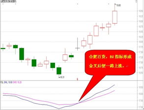 什么是fsl指标，怎样用fsl指标炒股？