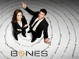 识骨寻踪 第六季 Bones Season 6 