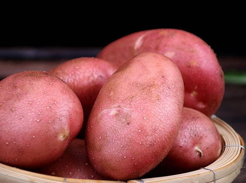 全国哪的土豆最好吃 这6个产地的堪称 顶配 ,有你家乡的吗
