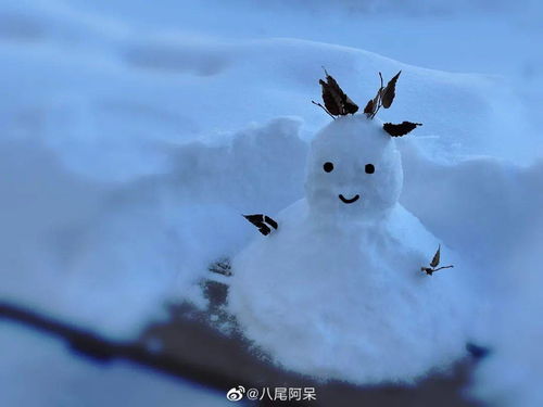 每个人心里都有一个纯白的雪人(每个人心里都有一个纯白的雪人英语)