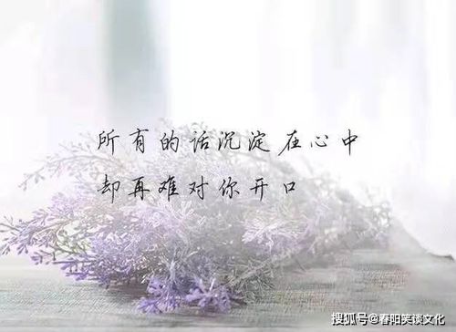 很委屈无人诉说的句子,句句戳心,送给为爱受伤的你