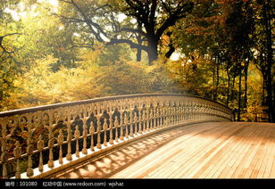 秋天阳光下的木桥图片免费下载 编号101080 红动网 