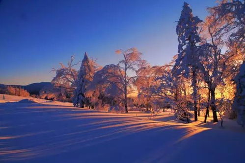 雪乡 这个冬天还不去雪乡吗 