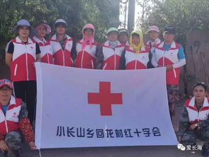长海县各基层红十字组织助力农村人居环境整治2019年上半年 大数据