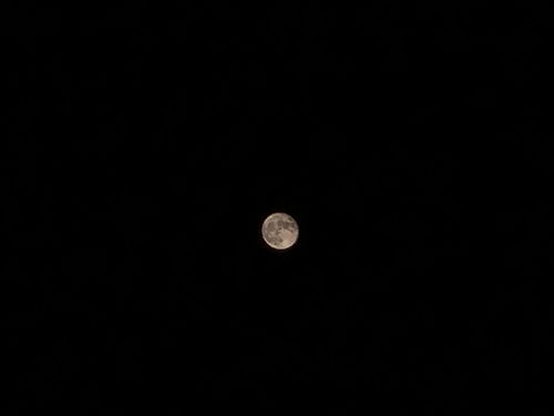 相机视频拍月亮怎么弄好看？苹果12pro拍月亮教程(iphone12p拍月亮)