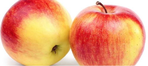 苹果的皮是什么样的,苹果吃皮好还是不吃皮好？