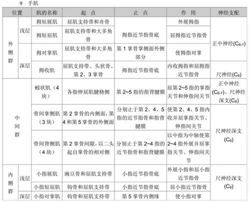 肌肉起止点 作用 神经支配说明大全