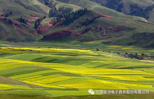 甘肃印发祁连山保护区治理方案 2018年底前清退矿业权