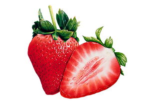 红色草莓 作文PK 