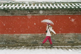 春节北京旅游会不会太冷,北京春节天气预报！降雪情况→