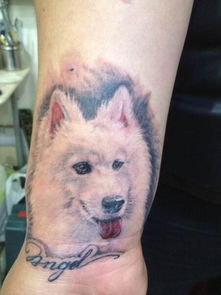 狗狗纹身 