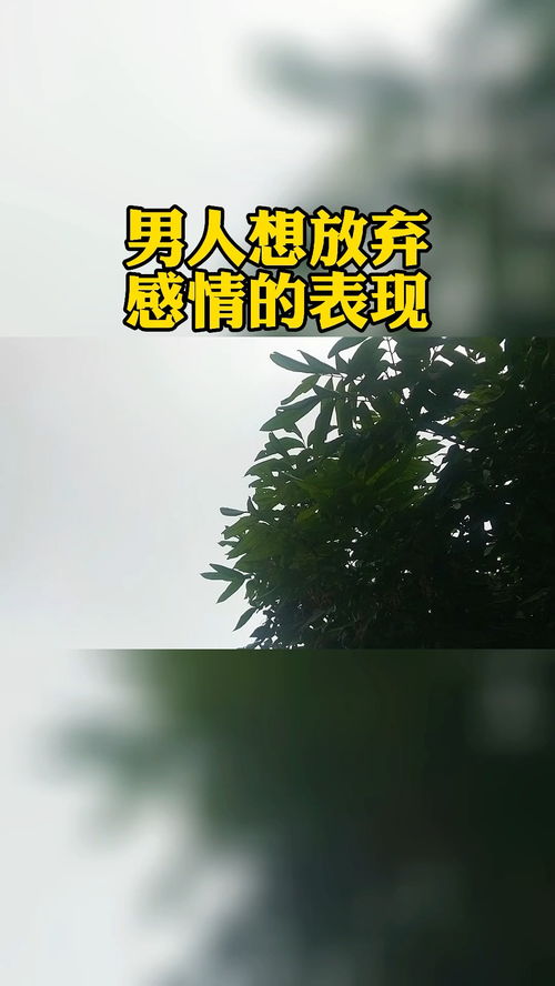 后的感情如何修复