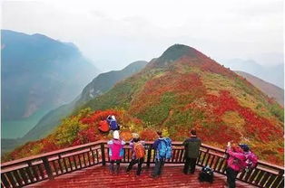 乐岛最近的免费停车场电话,2021本溪五女山风景区门票多少钱一张