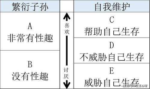 心理学 解说男性爱上女生时的 恋爱心理 ,什么是恋爱矩阵