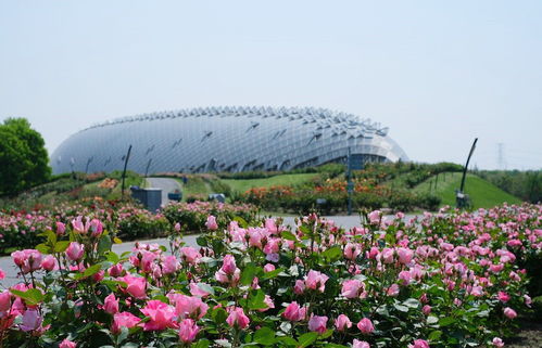 北京五一赏花旅游去哪好