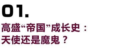 高盛国际金融理财有谁投资过这家公司？