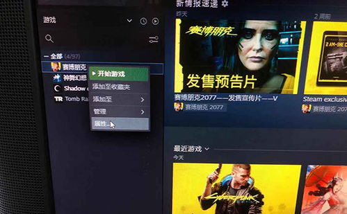 赛博朋克2077怎么设置中文 steam中文语音配音字幕怎么调 