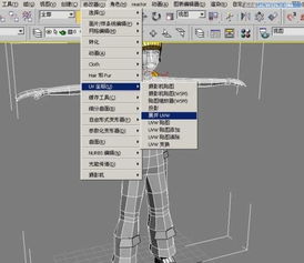 3dmax人物贴图一般分为几张贴图(3dmax的uvw中uv是什么)