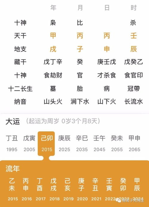 丙火双透的八字