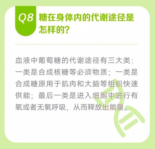 关于科学戒糖你应该知道的 12 个冷知识