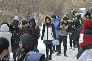 哈尔滨天气寒冷 大学生雪地排队领双11快递 