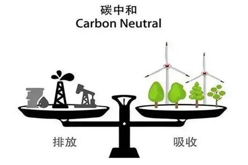 汽车行业数字化转型意义重大,碳达峰 碳中和成为讨论热点