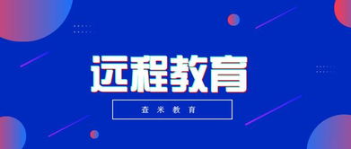 浦东海关***报名需要满足哪些条件？